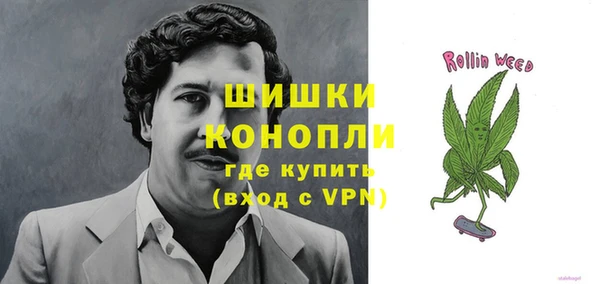 ПСИЛОЦИБИНОВЫЕ ГРИБЫ Навашино