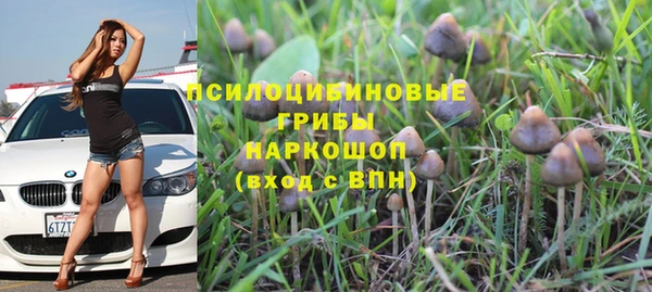 ПСИЛОЦИБИНОВЫЕ ГРИБЫ Навашино