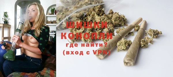 ПСИЛОЦИБИНОВЫЕ ГРИБЫ Навашино