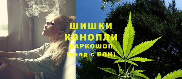 ПСИЛОЦИБИНОВЫЕ ГРИБЫ Навашино